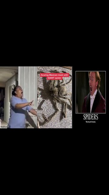 LMFAOOO 🕷 I WOULD HAVE LOST MY SHIT❗