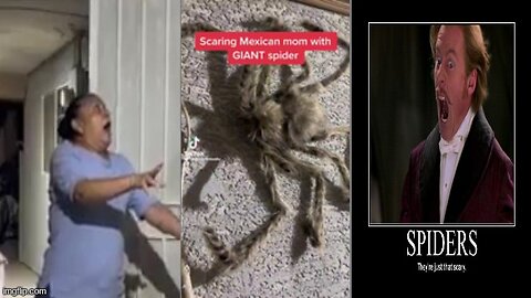 LMFAOOO 🕷 I WOULD HAVE LOST MY SHIT❗