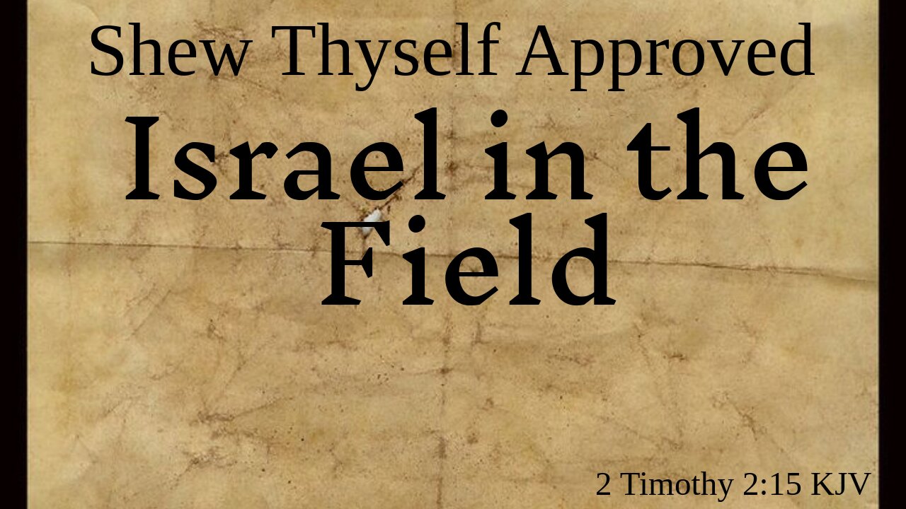 Israel in the Field