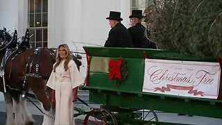 First lady Melania Trump welcomes White House Christmas Tree