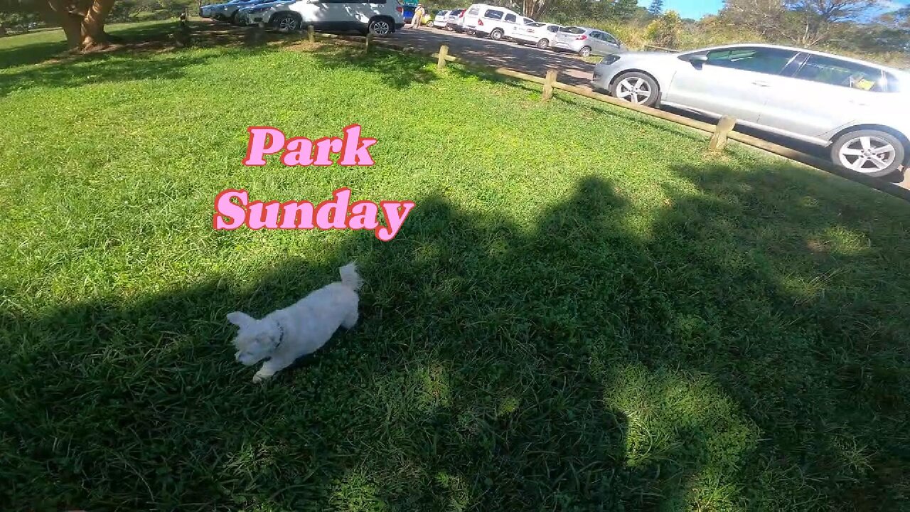 Park Sunday