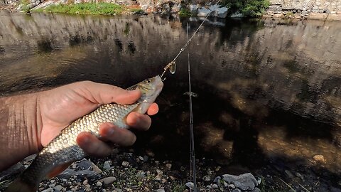 Fishing in Hercules’ City 🎣 | Adventure in Băile Herculane