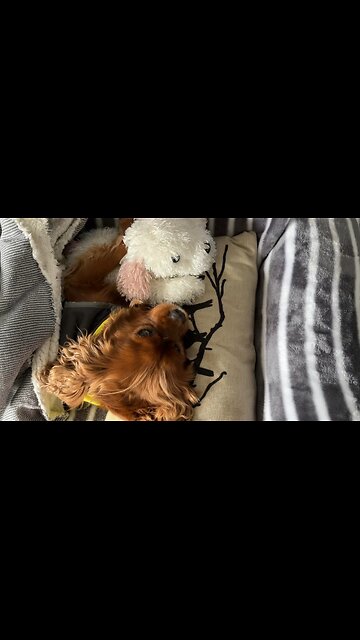 Winter + 🌧️ 🥶