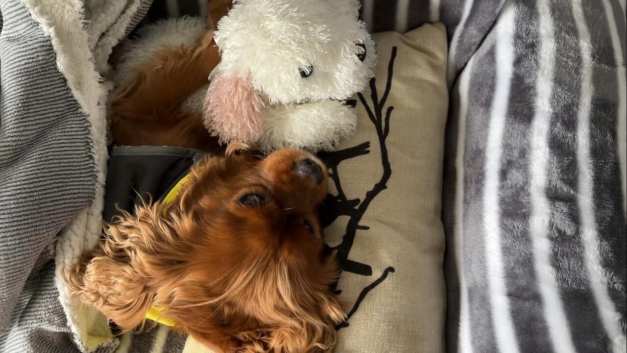 Winter + 🌧️ 🥶