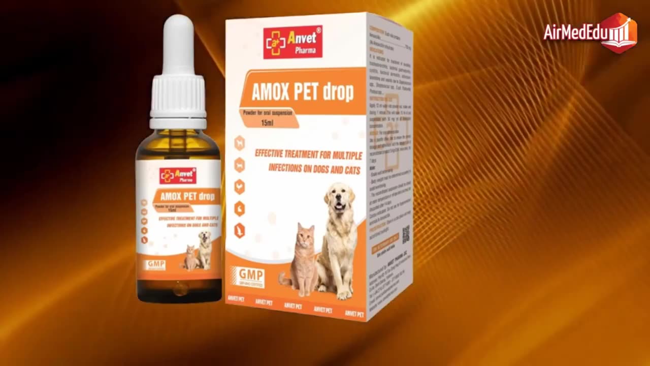 Beste Antibiotika für Hunde