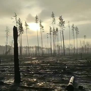 A Look from Across No-Man's Land