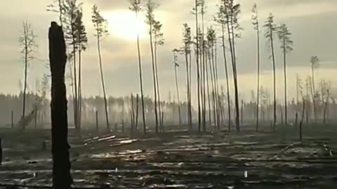 A Look from Across No-Man's Land
