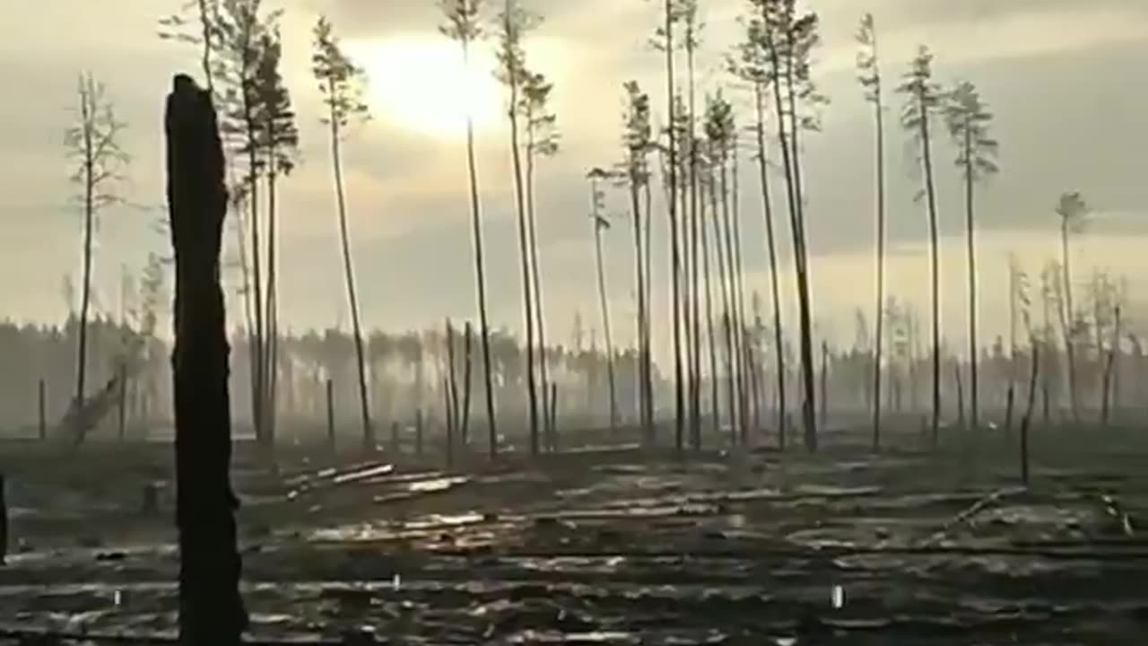 A Look from Across No-Man's Land