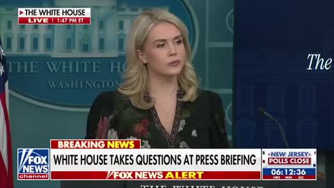 Leavitt RIPS Dems_ 'RECKLESS AND DANGEROUS!'