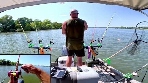 Chasing Tennessee T.A.R.P. Trophy Blue Catfish: Hunting 36-Inch+ Blues! | River Fishing
