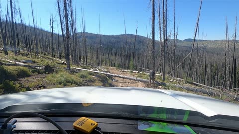 Burnt Knob Deadfall
