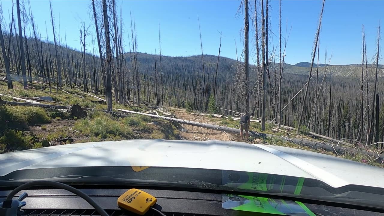 Burnt Knob Deadfall
