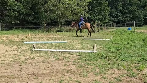 The New Fun Adventures of Riding Ziggy