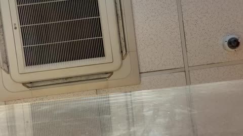 I really miss Atlanta 7/28/25