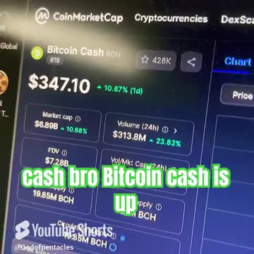 bitcoin cash bch crypto market bitcoin news today big gains #fyp