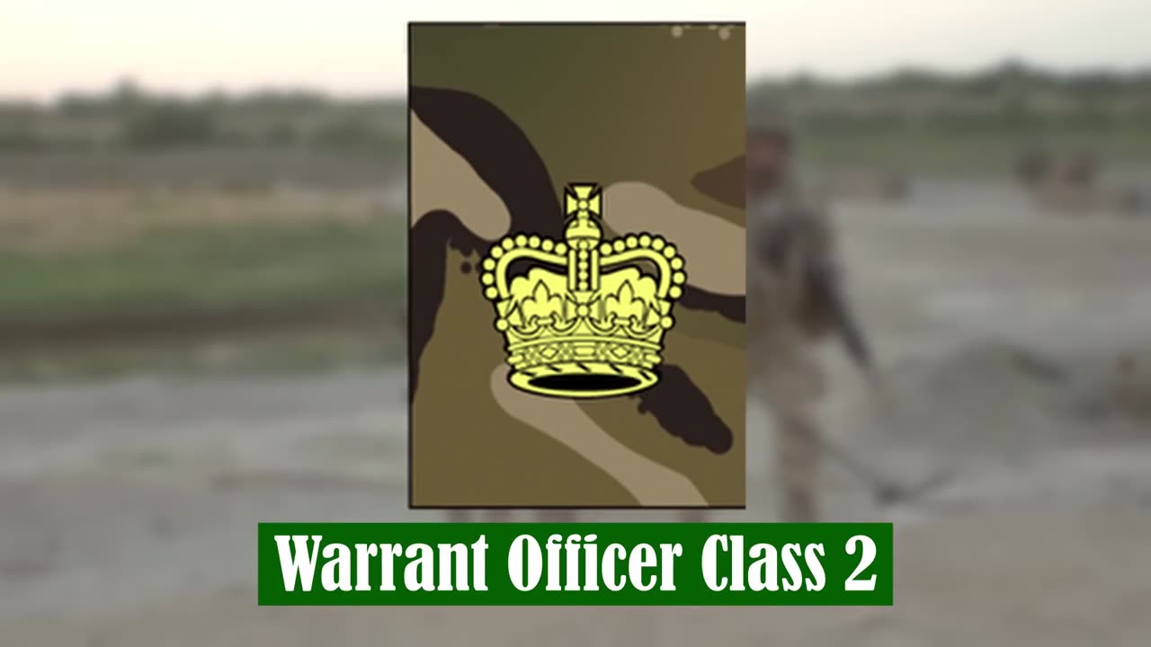 British Army Ranks in Order