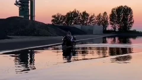 Viral