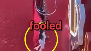 Amazing: Magic trick got EXPOSED! | #funny #viralvideo #fail | Cr.- Unknown