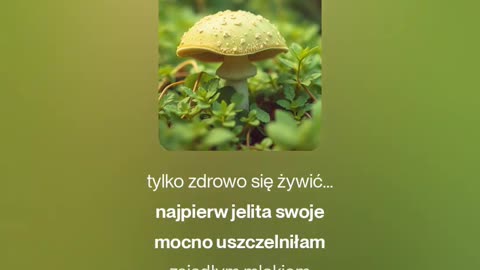 3 - Żyj Zdrowo - soft metal - tekst Ewa Lipka, śpiew i muzyka SI/AL 🎵 - 17.11.2025