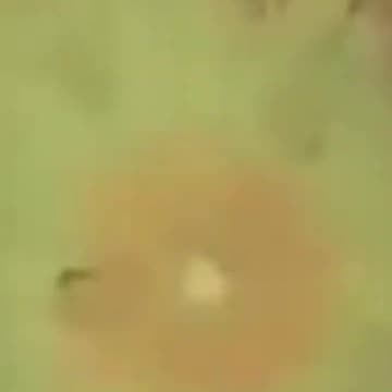 The Thing Rocks His Body