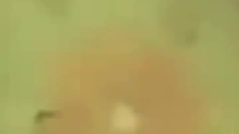 The Thing Rocks His Body