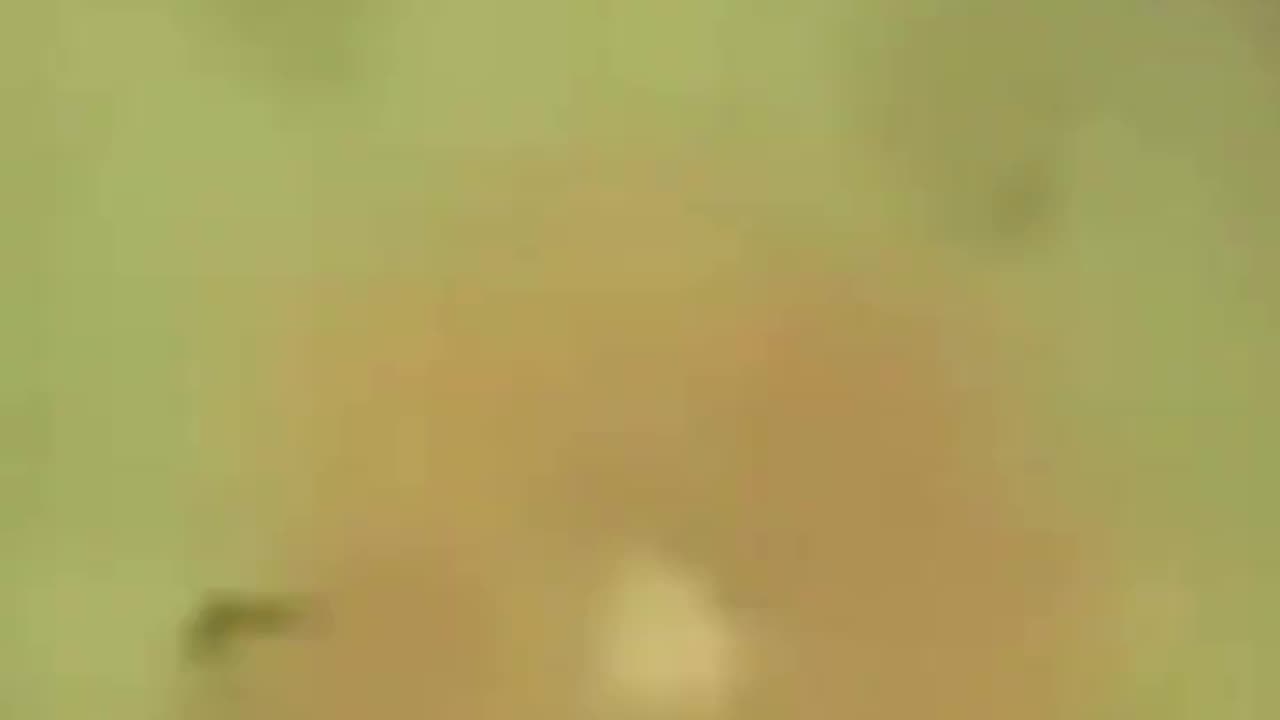 The Thing Rocks His Body