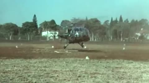 The Rhodesian Bush War