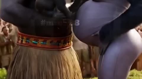 Funny Animal