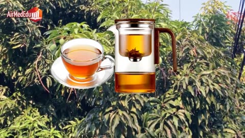 29 Benefits of Mango Leaf Tea
