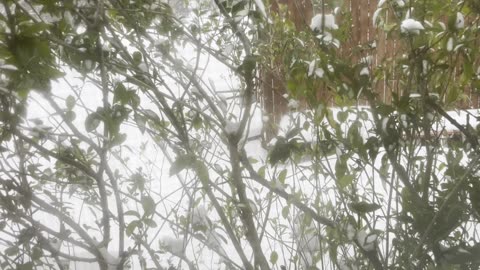 Stormy? God’s Got Us!