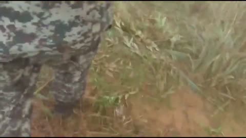 🚁🔥 Russia Ukraine War | Ka-52 Helicopter Fires Rockets Accidentally During Zapad 2017 | RCF