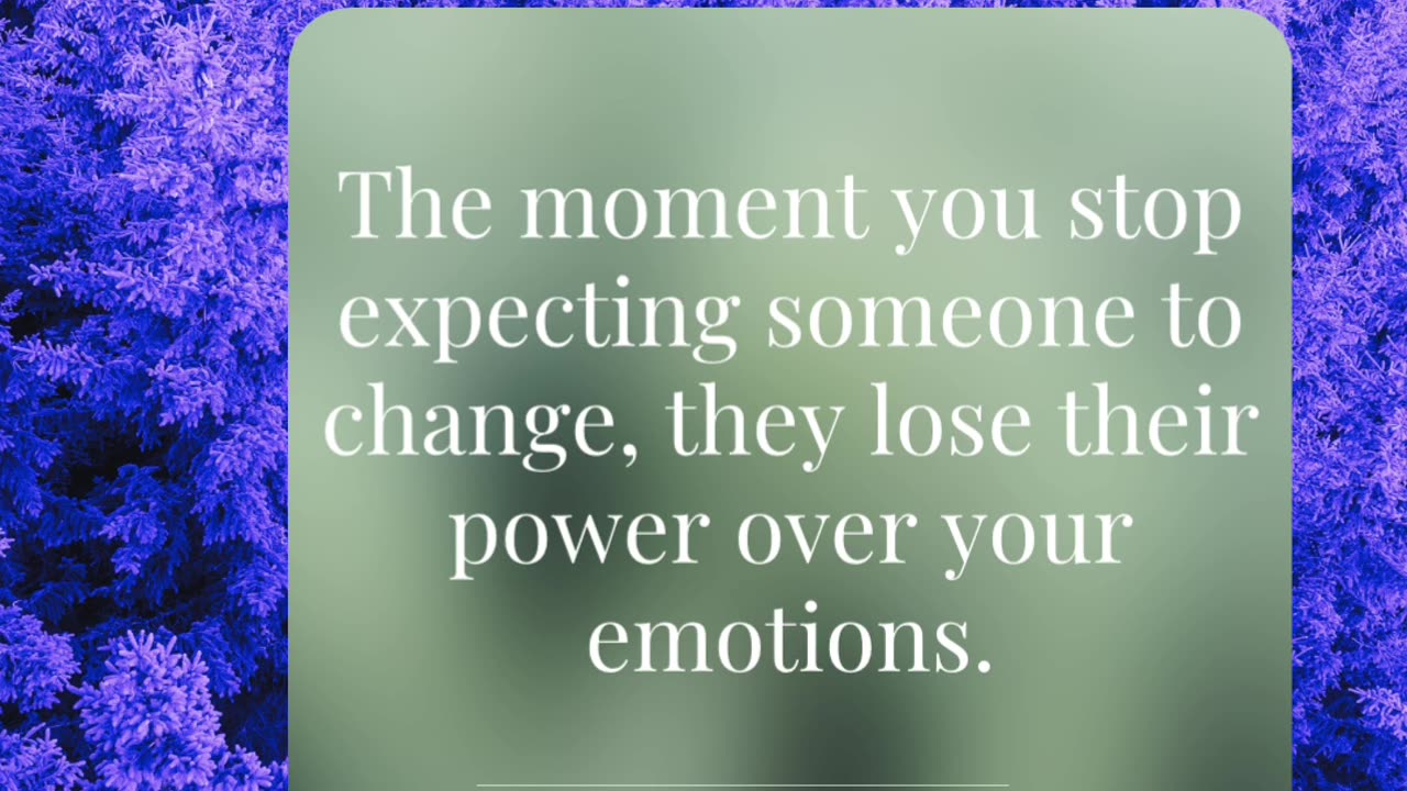 Release the Expectation, Reclaim Your Power