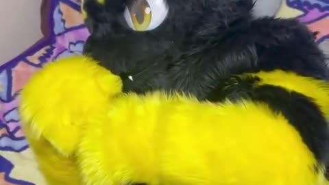 .