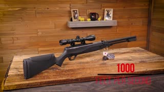 The Top 2 Best Most Accurate Fixed Barrel Air Rifles