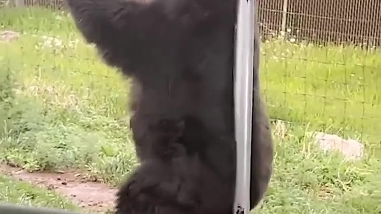 😂 Slaàaayyyy Queen 💅 | FunFM