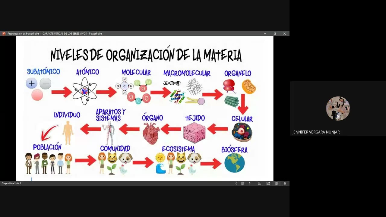 PAMER SEMESTRAL 2023 | Tema B | Biología