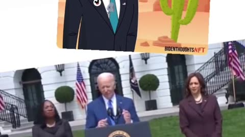 Biden moments