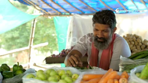 Sale vegitable statugy