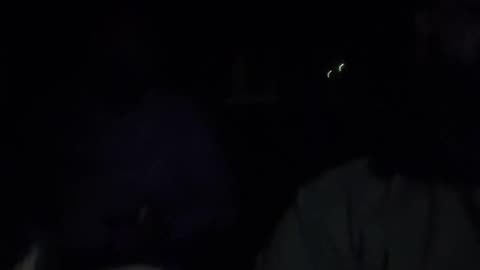 UBER LIVE NYC