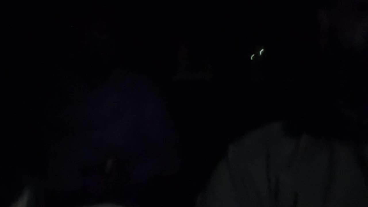 UBER LIVE NYC