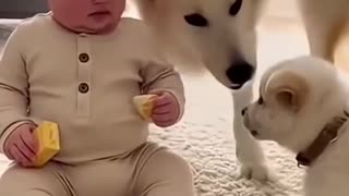 Woe Day 59. I am in the ark. Waiting for GOD to open the Door for a spring/summer Pentecost rapture