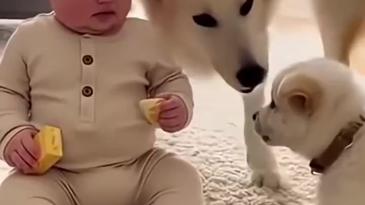 Woe Day 59. I am in the ark. Waiting for GOD to open the Door for a spring/summer Pentecost rapture