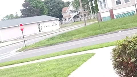 Who's minding the store