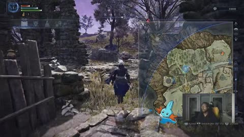 Nightreign runs
