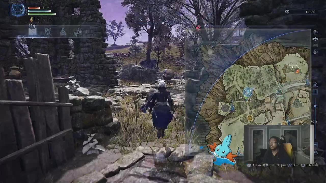 Nightreign runs