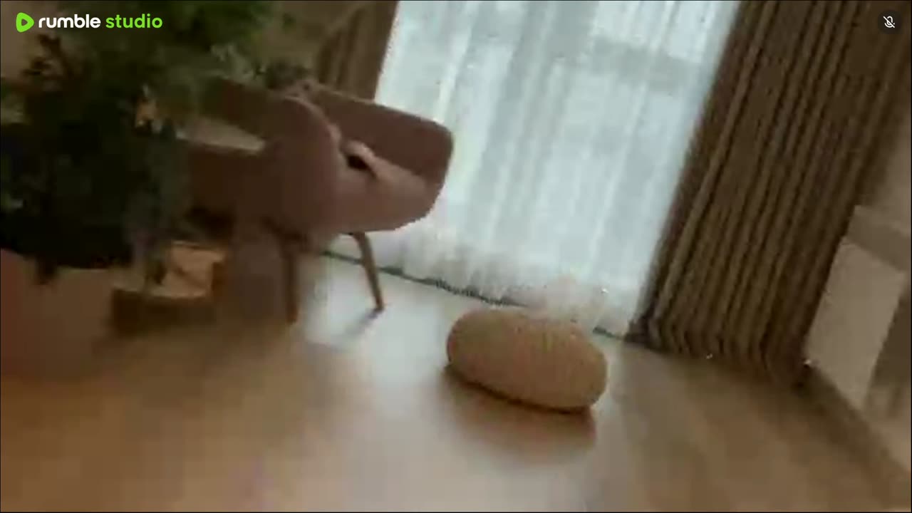 New stream from Rumble studio iOS