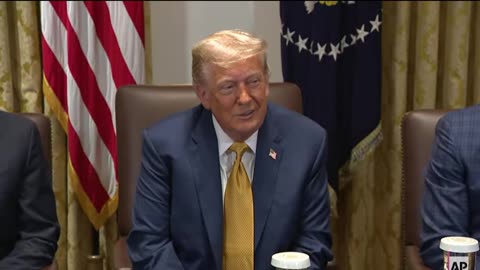 Trump participates in Cabinet meeting