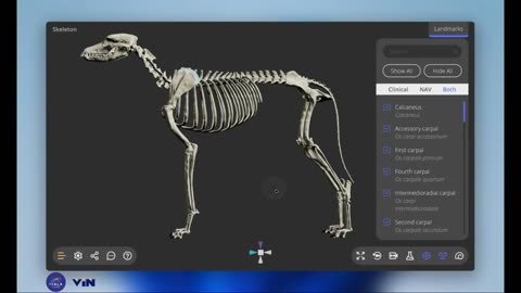 Interface update - positioning gizmo- 3D Veterinary Anatomy