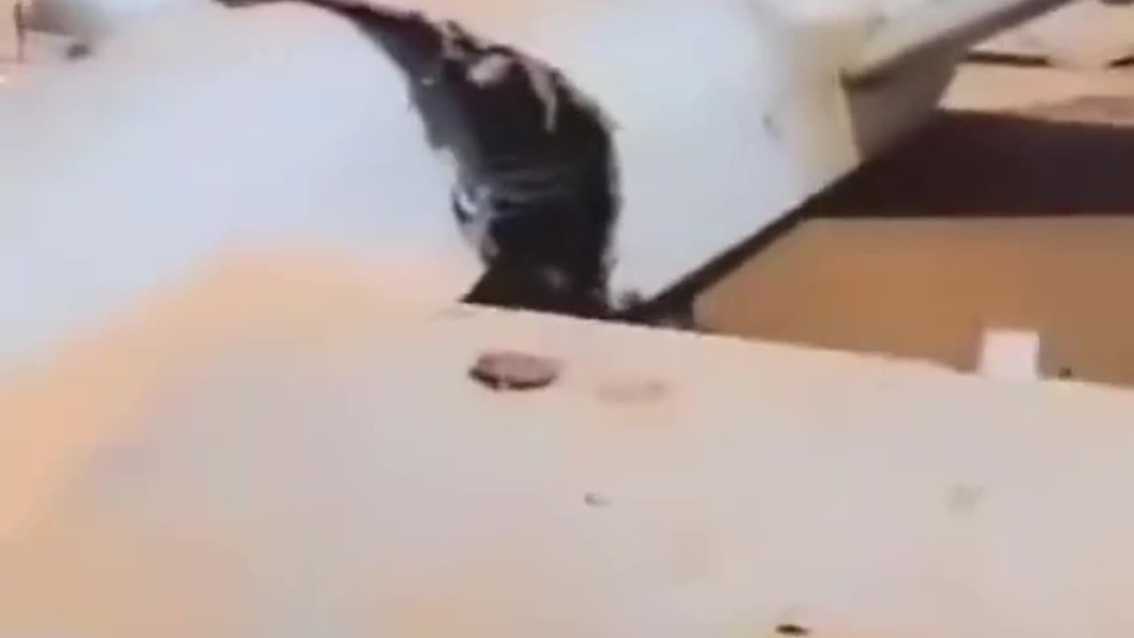 Houthi Release Video of Downed American MQ-9 Reaper Drone in Desert