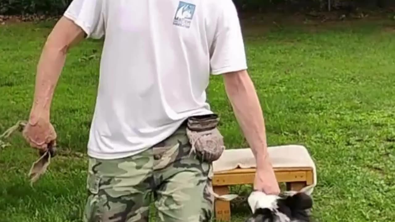At Ease Cue short 4